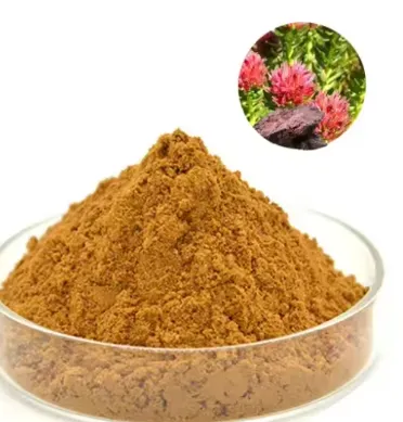 Rhodiola Rosea ingredient